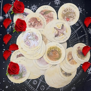 Puede incluir: Una colección de cartas de tarot redondas con ilustraciones de animales y naturaleza, incluyendo un canguro, una hormiga y un oso. Las cartas están dispuestas sobre un fondo oscuro con pétalos de rosa rojos y rosas enteras.