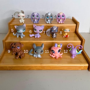 Può includere: Una collezione di dodici piccole statuette di animali in plastica disposte su un espositore in legno a tre livelli. Le figure includono varie creature come conigli, gatti, uno scoiattolo, una scimmia, un cane, un cincillà, un polpo e un insetto.