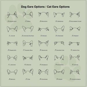 May include: A chart with black and white line drawings of cat ears, labeled with the names of different cat breeds. The chart is on a light green background.