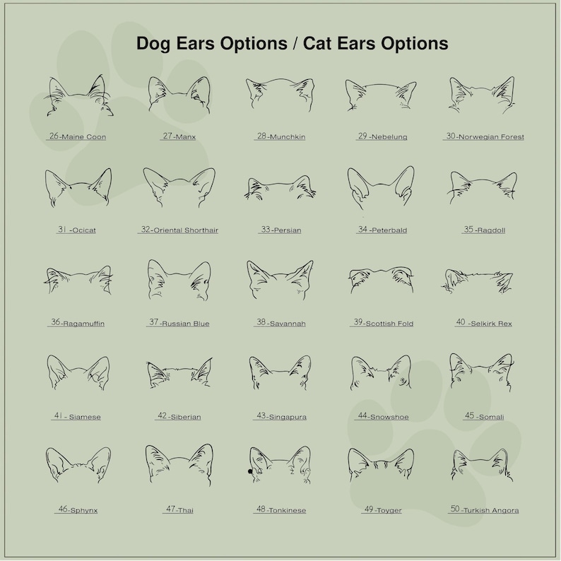May include: A chart with black and white line drawings of cat ears, labeled with the names of different cat breeds. The chart is on a light green background.