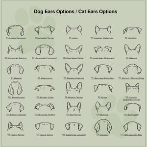 May include: A chart with black and white illustrations of dog and cat ears. The chart is labeled "Dog Ears Options / Cat Ears Options". Each ear shape is labeled with a number and the name of a dog breed.