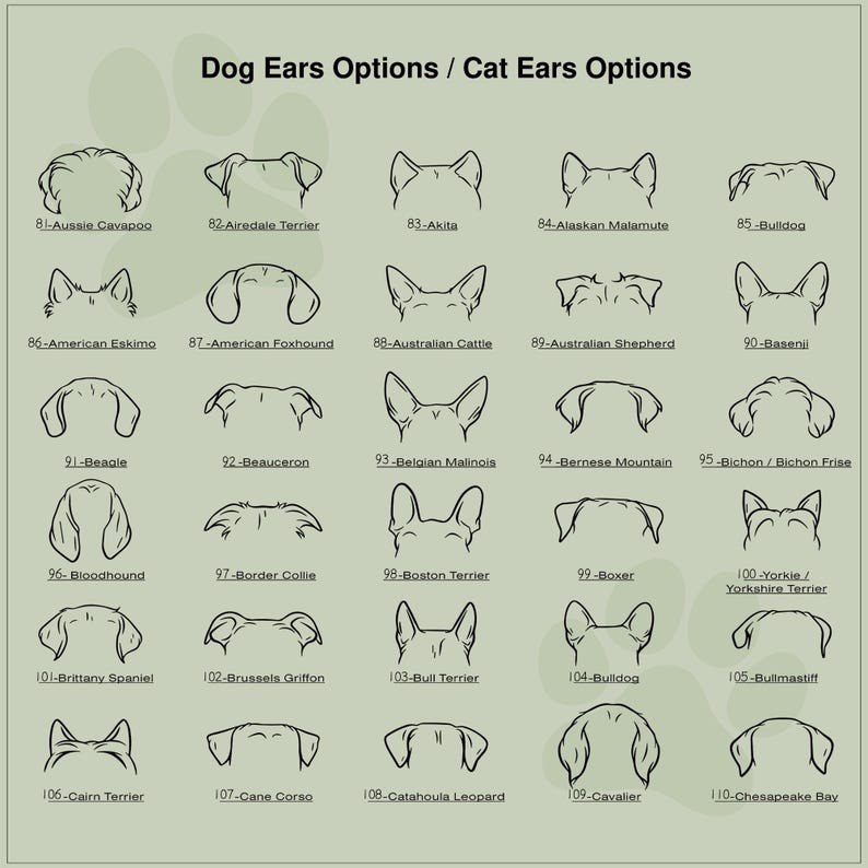 May include: A chart with black and white illustrations of dog and cat ears. The chart is labeled "Dog Ears Options / Cat Ears Options". Each ear shape is labeled with a number and the name of a dog breed.