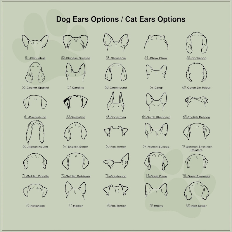 May include: A chart with black and white illustrations of different dog breeds, showing the shape of their ears. The chart is labeled "Dog Ears Options / Cat Ears Options".
