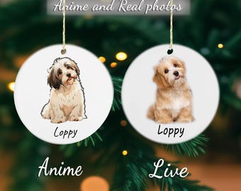 Christmas gift Custom Pet Memorial Ornament - Personalized Photo Keepsake | Pet Loss Gift, Dog/Cat Memorial, Pet Remembrance Frame