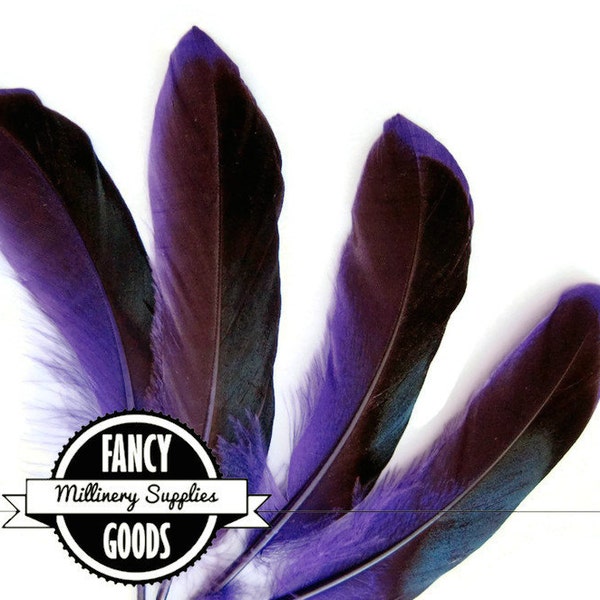 4 - Two-Tone - Duck Feathers - Iridescent Black and Purple