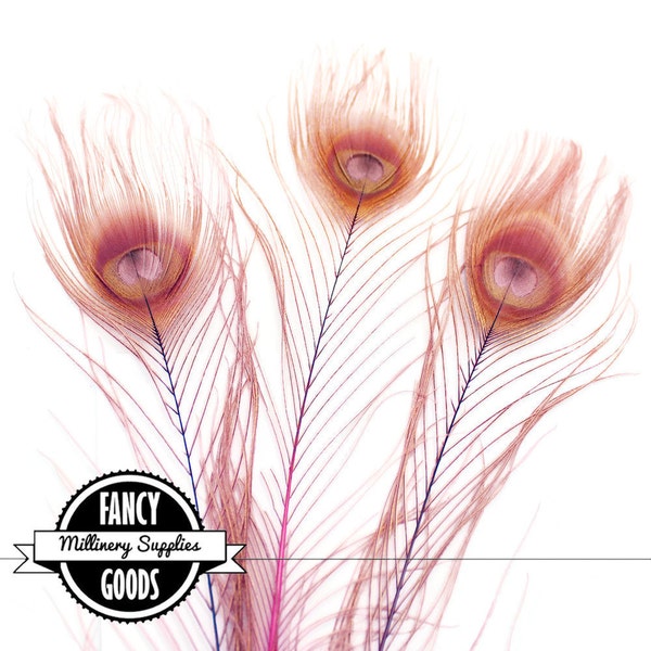 3 - Small - Dusty Pink - Dusty Rose - Peacock Feathers