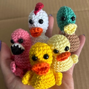 Canards de croisière au crochet