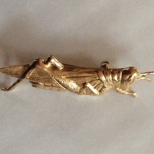 May include: A gold-colored grasshopper brooch with intricate details. The brooch is made of metal and has a realistic design.
