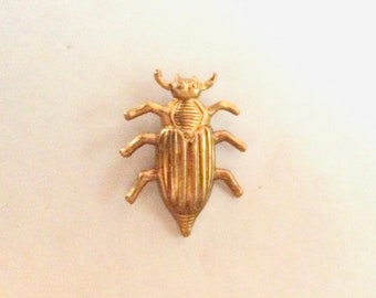 スカラベ エジプトの甲虫 虫 タマムシ科の甲虫 昆虫 テクスチャ 花柄