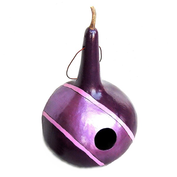 Painted Gourd Birdhouse Gourd Art Purple Nest Box Gift for Bird Lover Animal Lover Present Outdoor Bird House Wild Bird Home for Mom and Dad