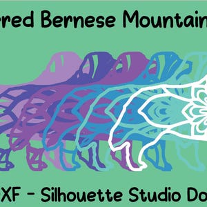 3D-Schichted Mandala Berner Sennenhund SVG, DXF, Silhouette Studio-Datei