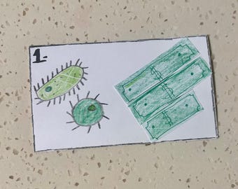 Lustiges Spiel / Puzzle für Kinder und Erwachsene, Party-Puzzle-Spiel, errate den Ländernamen 10 versteckte Namen. Einfacher Druck