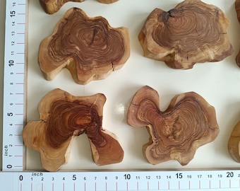 10 inches, Olive Wood Slab, Live Edge Raw edged wood sheet, raw wood for resin epoxy, Live edge sheet unfinished for crafts, olive wood arts