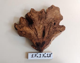 17" Olive Wood Slab: Live Edge Raw Wood for DIY Art