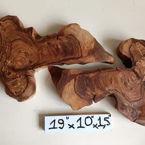 2 pieces olive wood slab, olive wood for epoxy resin table, Live Edge Raw wood art, Olive wood slice, olive wood for diy, olive wood piece