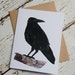 see more listings in the Greeting Cards section