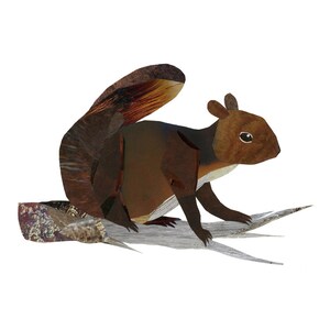 Squirrel 8.5 x 11 Print of Original Collage