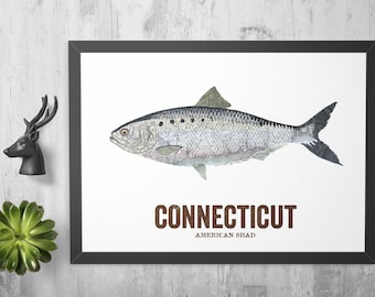 Connecticut State Fish, Map art, Nature Outdoor art, Vintage Map art, Art print, Wall decor, Fish Art, Gift For Him - American Shad