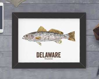 Delaware State Fish, Map art, Nature Outdoor art, Vintage Map art, Art print, Fish Wall decor, Fish Art, Gift For Him - Weakfish