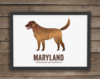 Maryland State Dog, Retriever print, dog Art, Vintage Map art, Art print, Wall decor, Map prints - Chesapeake Bay Retriever