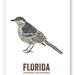Florida State Bird Nature art Outdoor art Vintage Map art | Etsy