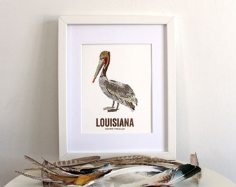 Louisiana State Bird, Nature art, Outdoor art, Vintage Map art, Art print, Wall decor, Rustic Nursery, Map prints - BROWN PELICAN