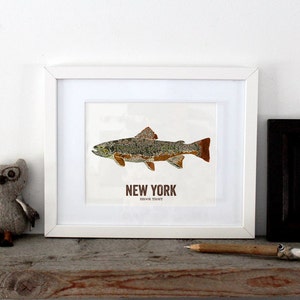New York State Fish, Map art, Nature Outdoor art, Vintage Map art, Art print, Fish Wall decor, Fish Art, Gift For Him Brook Trout image 2