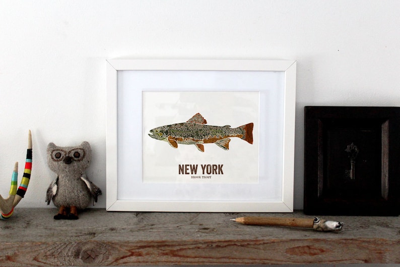 New York State Fish, Map art, Nature Outdoor art, Vintage Map art, Art print, Fish Wall decor, Fish Art, Gift For Him Brook Trout image 2