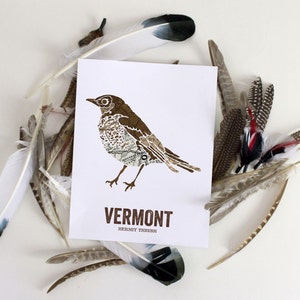 Oiseau de l'État du Vermont, art de la nature, art en plein air, art de la carte vintage, impression d'art, décoration murale, pépinière rustique, estampes de cartes - grive ermite