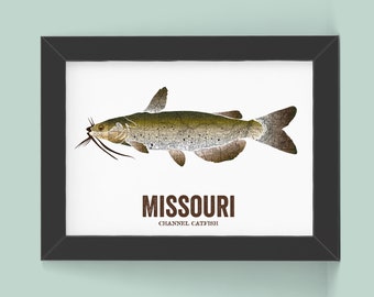 Missouri State Fish, Map art, Nature Outdoor art, Vintage Map art, Art print, Fish Wall decor, Fish Art, Gift For Him - Channel Catfish