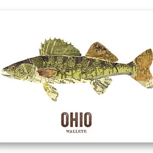 Ohio State Fish, Map art, Nature Outdoor art, Vintage Map art, Art print, Fish Wall decor, Fish Art, Gift For Him - Walleye