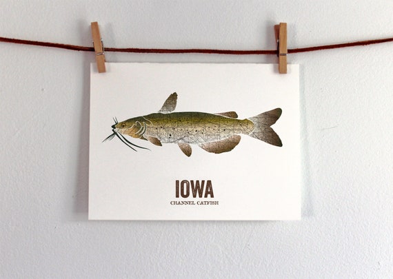 Iowa State Fish, Map Art, Nature Outdoor Art, Vintage Map Art, Art