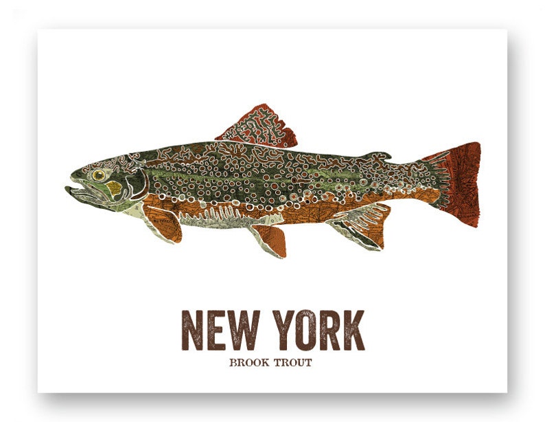 New York State Fish, Map art, Nature Outdoor art, Vintage Map art, Art print, Fish Wall decor, Fish Art, Gift For Him Brook Trout image 3