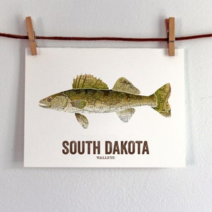 South Dakota State Fish, Map art, Nature Outdoor art, Vintage Map art, Art print, Fish Wall decor, Fish Art, Gift For Men Walleye image 3