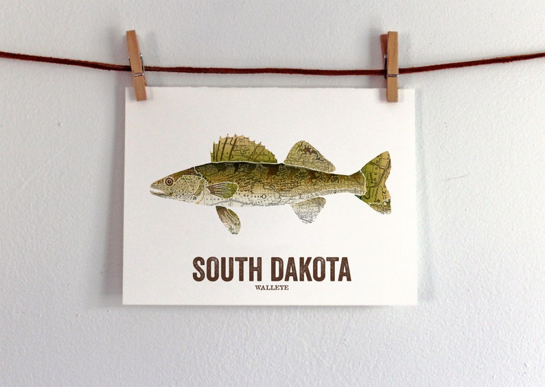 South Dakota State Fish, Map art, Nature Outdoor art, Vintage Map art, Art print, Fish Wall decor, Fish Art, Gift For Men Walleye image 3