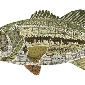 Indiana State Fish, Map Art, Nature Outdoor Art, Vintage Map Art, Art ...