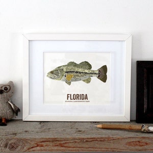 Florida State Fish, Map art, Nature Outdoor art, Vintage Map art, Art print, Fish Wall decor, Fish Art, Gift For Dad Largemouth Bass image 2