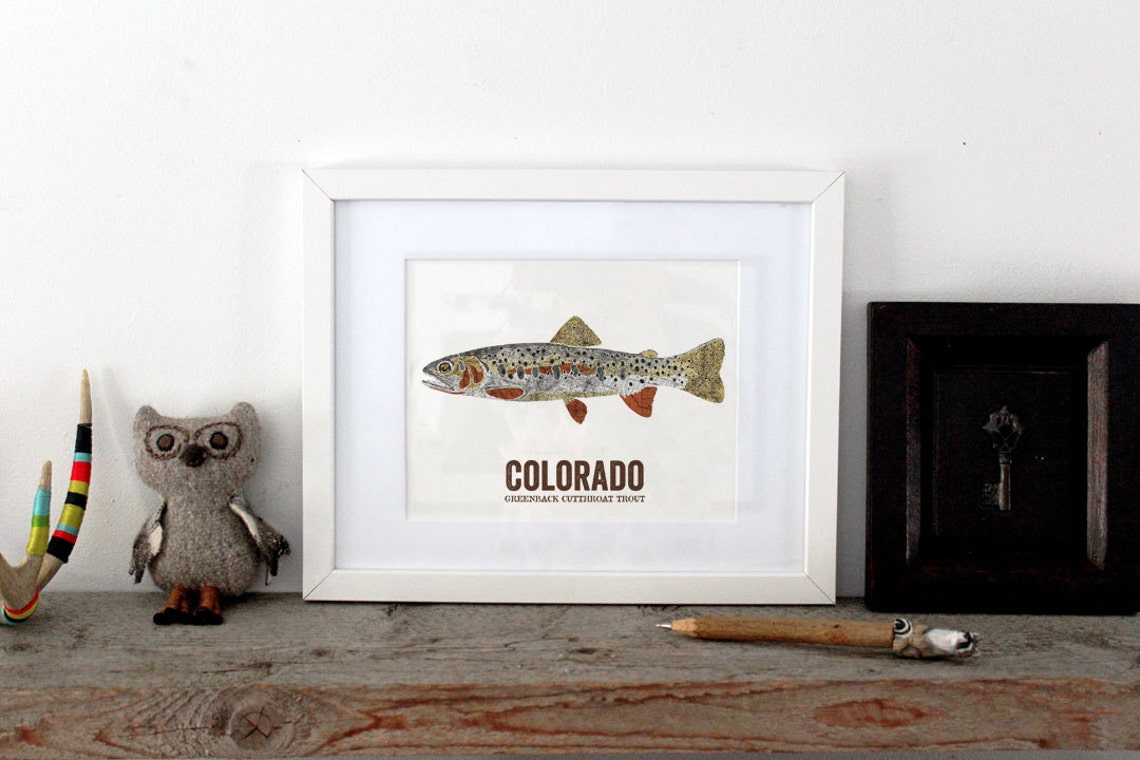 Greenback Cutthroat Trout Art Print, Colorado State Fish Vintage Map - Etsy