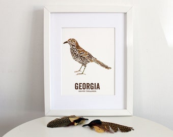 Georgia State Bird, Nature art, Outdoor art, Vintage Map art, Art print, Wall decor, Rustic Nursery, Map prints -BROWN THRASHER