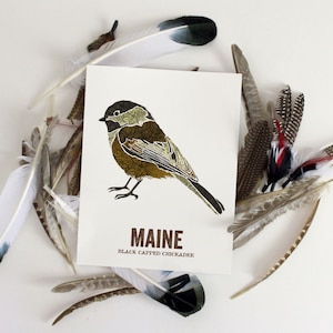 Maine State Bird, Nature Art, Outdoor Art, Vintage Map Art, Art Print ...
