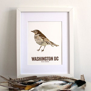 Oiseau de Washington DC, art de la nature, art en plein air, art de la carte vintage, impression d'art, décoration murale, chambre de bébé rustique, estampes de carte - grive des bois
