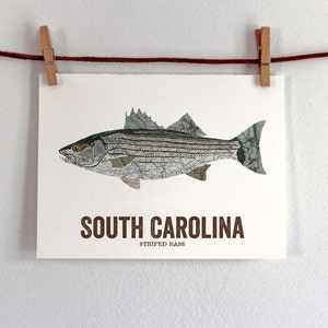 South Carolina State Fish, Map art, Nature Outdoor art, Vintage Map art, Art print, Fish Wall decor, Fish Art, Gift For Him Striped Bass image 2