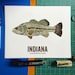 Indiana State Fish, Map Art, Nature Outdoor Art, Vintage Map Art, Art ...