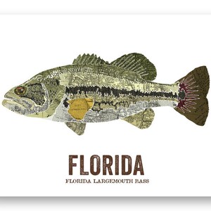 Florida State Fish, Map art, Nature Outdoor art, Vintage Map art, Art print, Fish Wall decor, Fish Art, Gift For Dad Largemouth Bass image 3