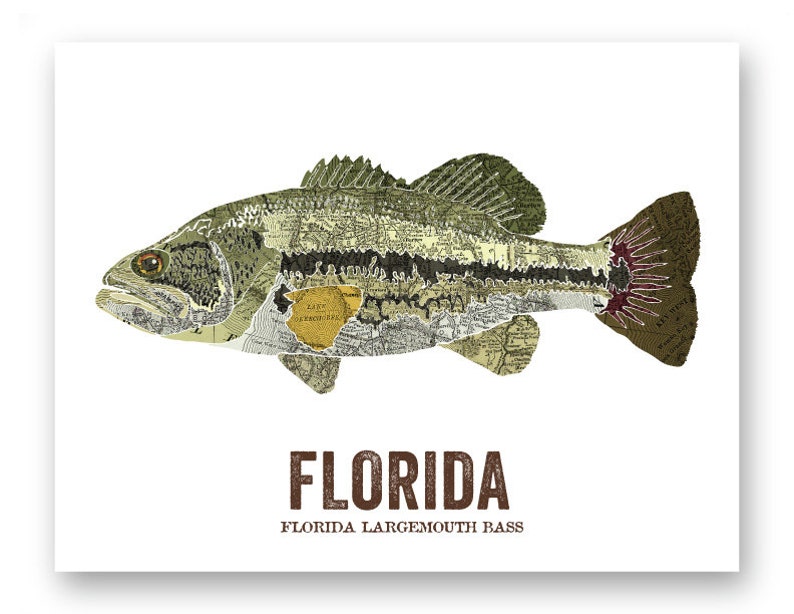 Florida State Fish, Map art, Nature Outdoor art, Vintage Map art, Art print, Fish Wall decor, Fish Art, Gift For Dad Largemouth Bass image 3