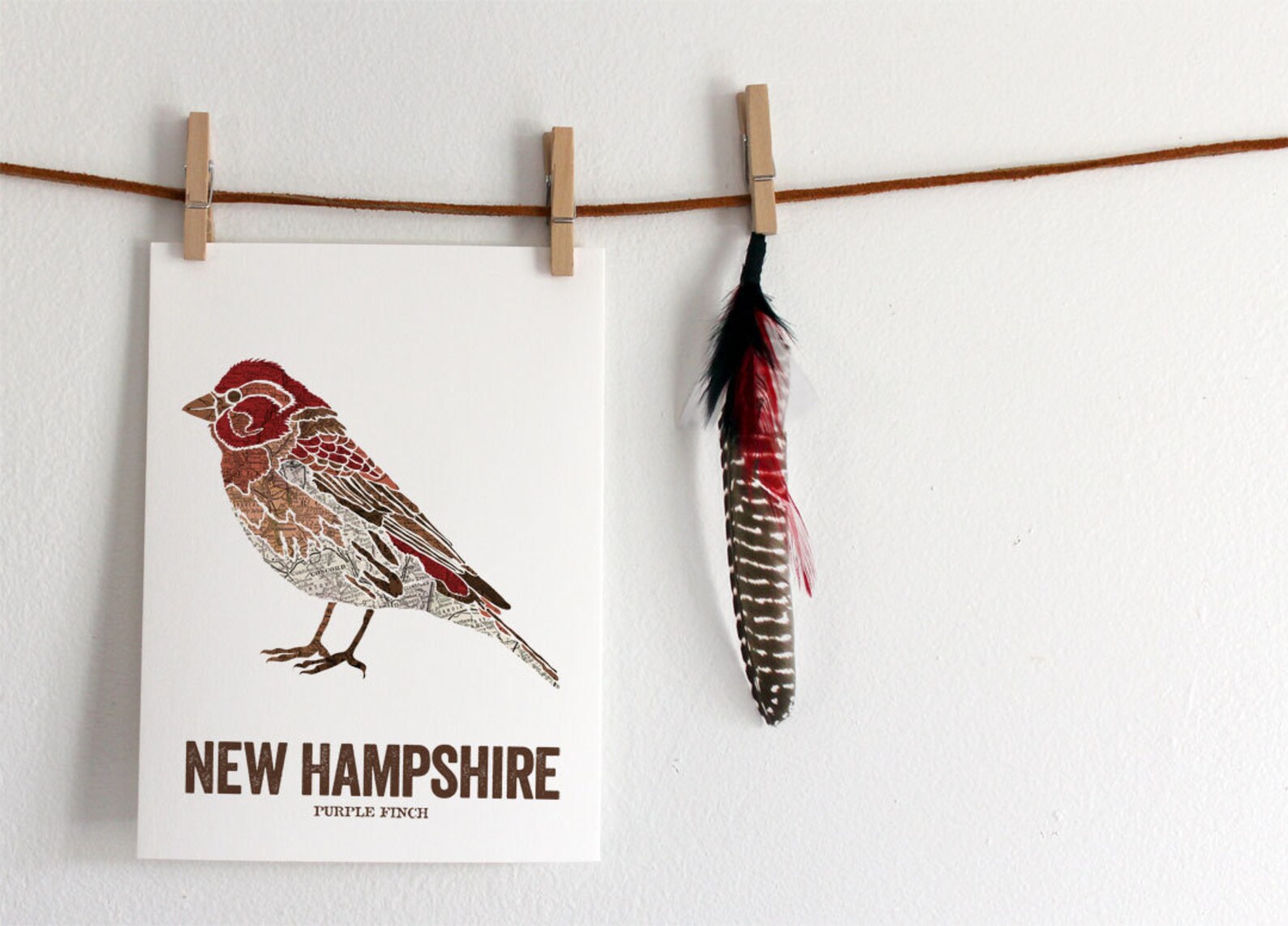New Hampshire State Bird Nature Art Outdoor Art Vintage Map | Etsy