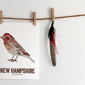 Oiseau de l'État du New Hampshire, art de la nature, art en plein air, art de la carte vintage, impression d'art, décoration murale, pépinière rustique, estampes de cartes - PURPLE FINCH