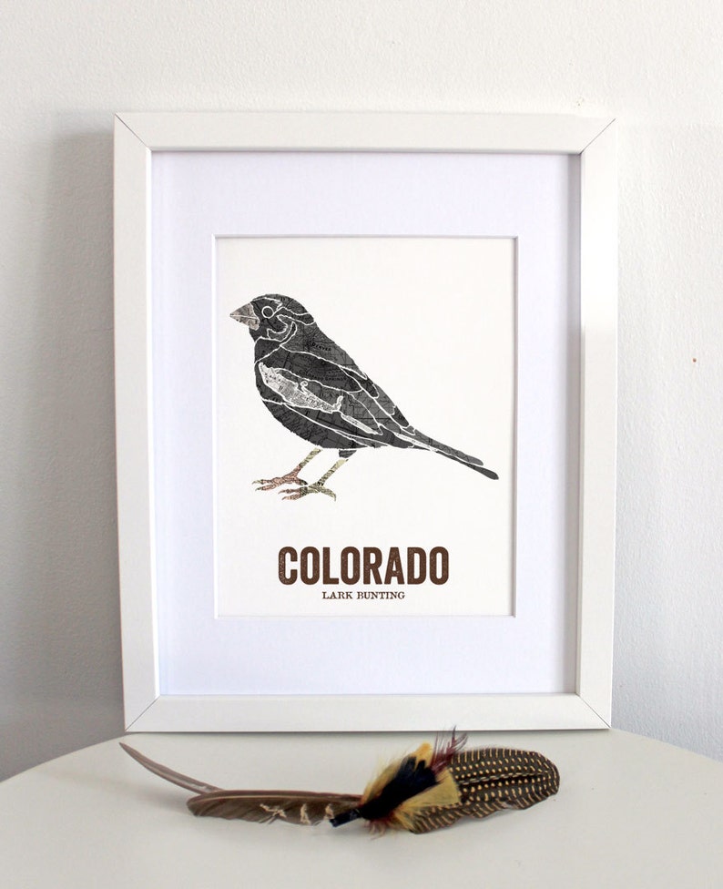 Colorado state bird art, Map Art, State Art, Bird print, Nature art, Outdoor art, Vintage Map art, Wall decor, Rustic Nursery LARK BUNTING image 2
