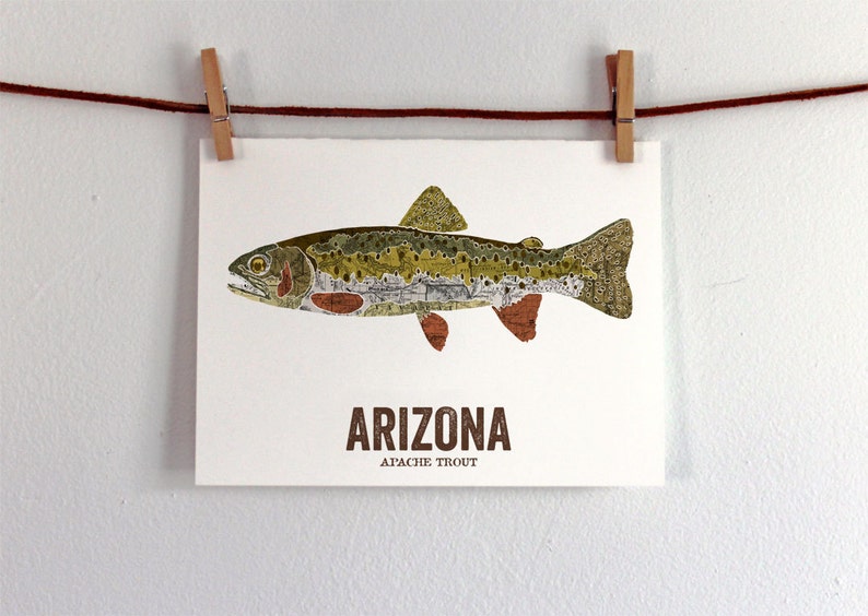 Arizona State Fish, Nature art, Outdoor art, Vintage Map art, Art print, Fish Wall decor, Fish Art, Gift For Dad ApacheTrout image 2
