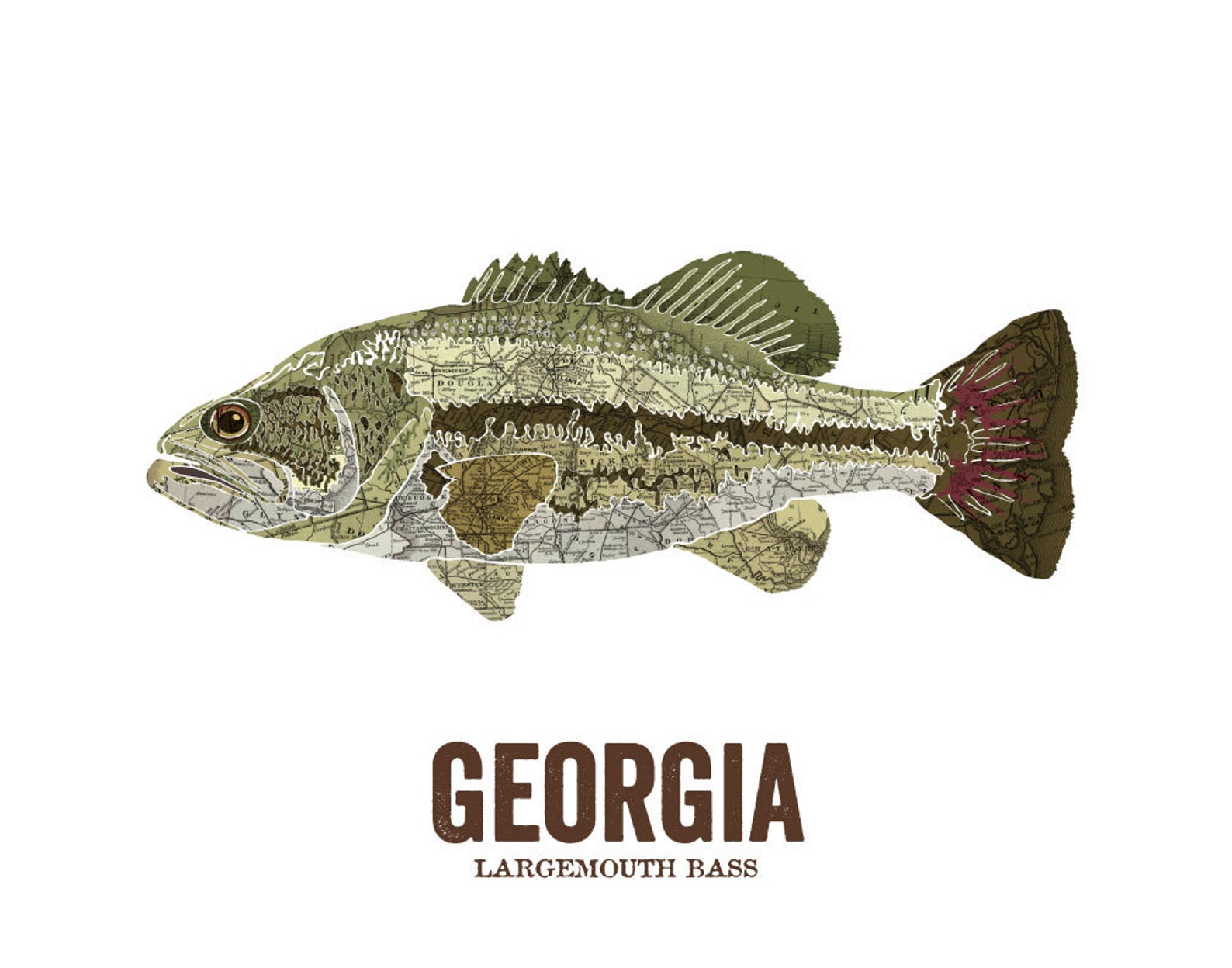 Georgia State Fish, Map Art, Nature Outdoor Art, Vintage Map Art, Art ...
